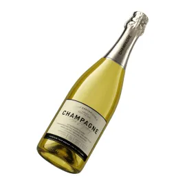 Champagne Wine Bottle 2